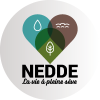 Partenaire