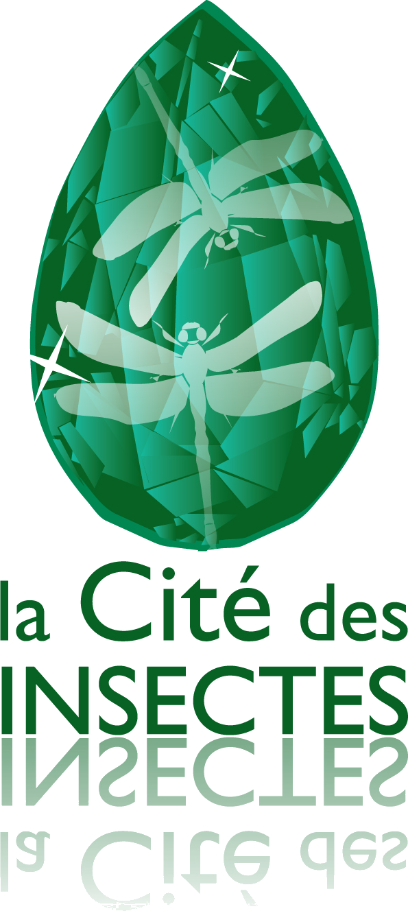 Partenaire