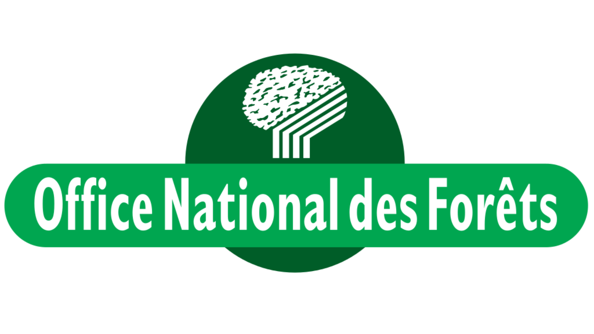 Partenaire